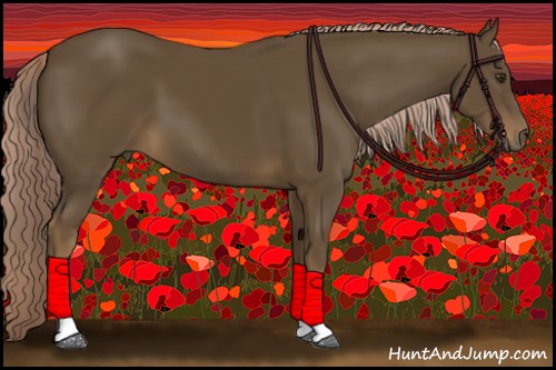 Horse Color:Chocolate Palomino 