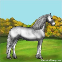 Horse Color:Silver Blue Onyx Chinchilla 