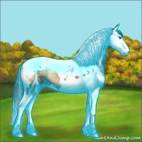 Horse Color:Thunderstruck Smoky Blue Onyx Ice Splash Tobiano 