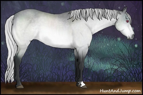 Horse Color:Silver Bay Chinchilla 
