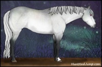 Horse Color:Silver Bay Chinchilla 