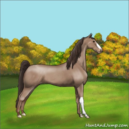 Horse Color:Classic Champagne Appaloosa 