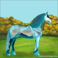 Horse Color:Thunderstruck Blue Onyx Splash 