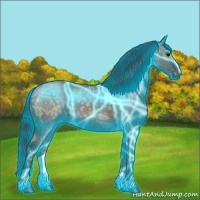 Horse Color:Thunderstruck Grullo Ice Sabino 