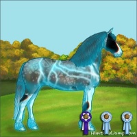 Horse Color:Thunderstruck Black Ice Sabino Splash