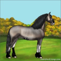 Horse Color:Blue Onyx Sabino Rabicano 