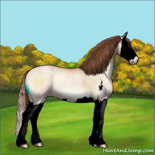 Horse Color:Bay Pearl Onyx Sabino Splash Rabicano 