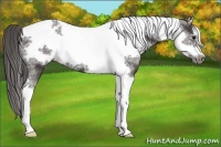 Horse Color:Smoky Black Tobiano Frame 
