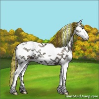 Horse Color:Painted Classic Champagne Ice Onyx Sabino Splash Appaloosa 