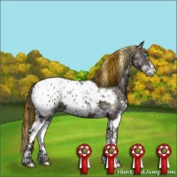 Horse Color:Painted Grullo Ice Onyx Splash Tobiano Appaloosa 
