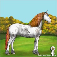 Horse Color:Painted White Spotted Chocolate Classic Champagne Ice Pearl Onyx Splash Tobiano 
