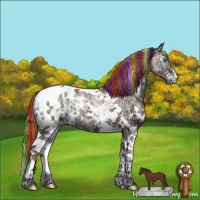 Horse Color:Painted Chocolate Classic Champagne Ice Onyx Sabino Splash Tobiano Appaloosa 