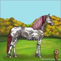 Horse Color:Painted Chocolate Grullo Ice Onyx Splash Tobiano