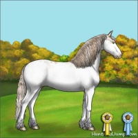 Horse Color:Red Dun Pearl Sabino