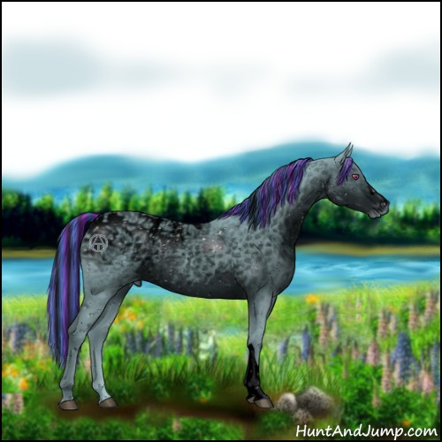 Horse Color:ERROR: UNKNOWN ANOMALY