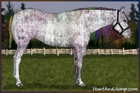 Horse Color:Painted Plaid  Black Ice 