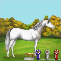 Horse Color:Sable Champagne Dun Splash Tobiano Frame 