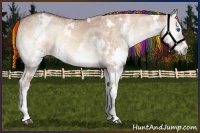 Horse Color:Painted White Spotted Red Dun Ice Onyx Splash 