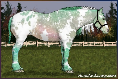Horse Color:Watercolor White Spotted Buckskin Ice Appaloosa