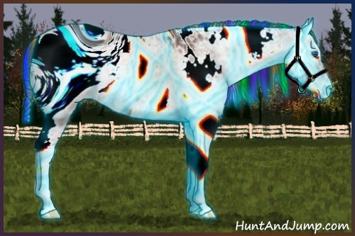 Horse Color:ERROR: UNKNOWN ANOMALY