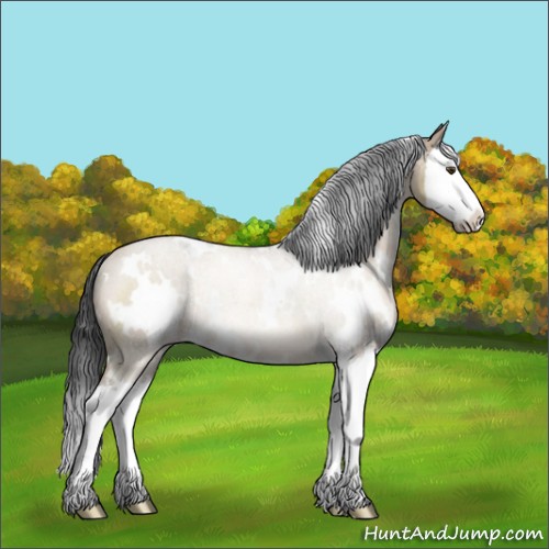 Horse Color:White Spotted Brown Dun Sabino Splash Rabicano