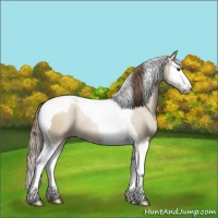 Horse Color:Grullo Pearl Sabino Splash Tobiano Rabicano 