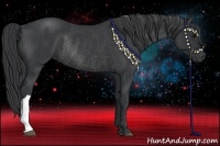 Horse Color:Black Rabicano 