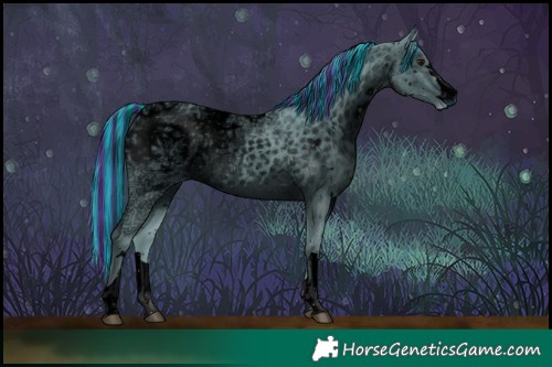 Horse Color:ERROR: UNKNOWN ANOMALY