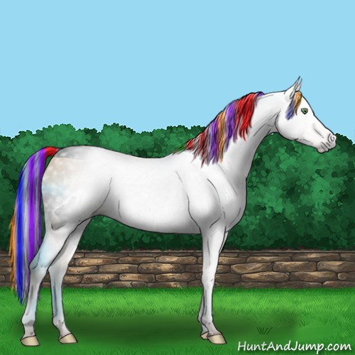 Horse Color:ERROR: UNKNOWN ANOMALY