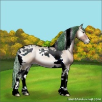 Horse Color:Watercolor Brown Pearl Onyx Tobiano 