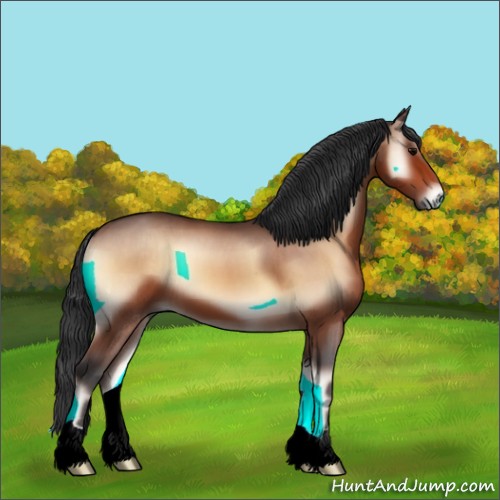 Horse Color:Bay Onyx 