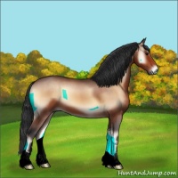 Horse Color:Bay Onyx 