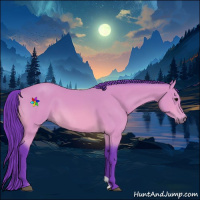 Horse Color:Watercolor Bay 