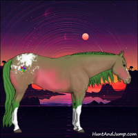 Horse Color:Watercolor Bay Appaloosa 