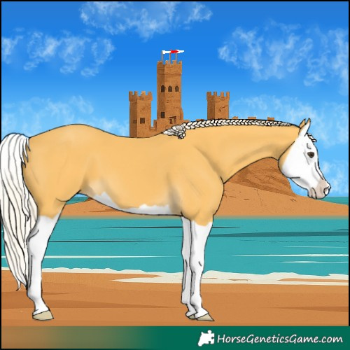 Horse Color:Palomino Splash