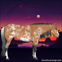 Horse Color:White Spotted Bay Frame 