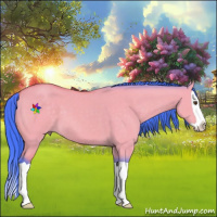 Horse Color:Watercolor Buckskin Dun Splash