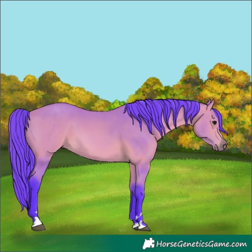 Horse Color:Watercolor Bay 