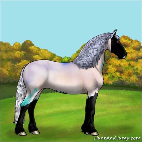 Horse Color:ERROR: UNKNOWN ANOMALY