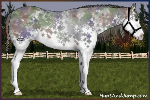 Horse Color:Nacre White Spotted Black Splash 