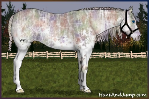 Horse Color:Nacre Silver Blue Onyx Ice Splash 