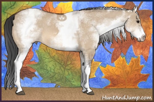 Horse Color:White Spotted Bay Dun 