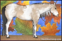 Horse Color:White Spotted Bay Dun