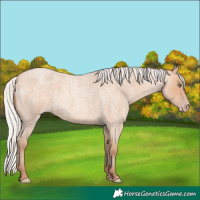 Horse Color:Silver Sable Champagne Roan