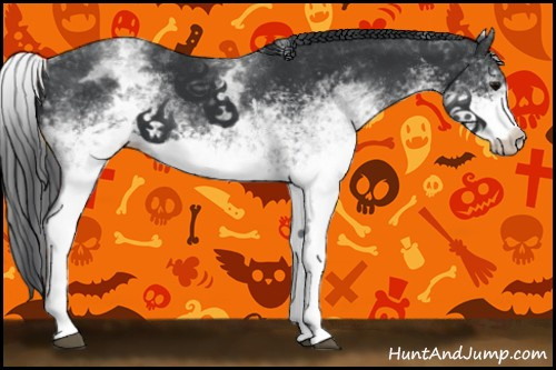 Horse Color:White Spotted Black 