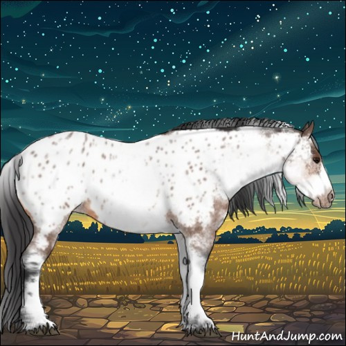 Horse Color:White Spotted Bay Roan Frame Appaloosa 
