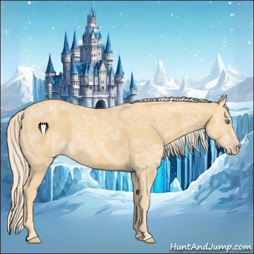 Horse Color:Gold Cream Champagne Ice 