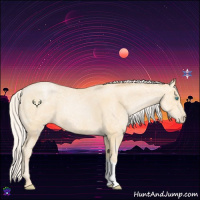 Horse Color:Silver Buckskin Ice Roan Pearl 