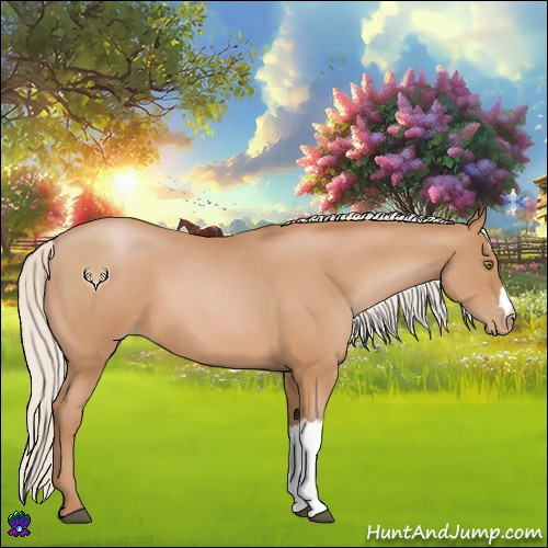 Horse Color:Silver Bay Roan Pearl 