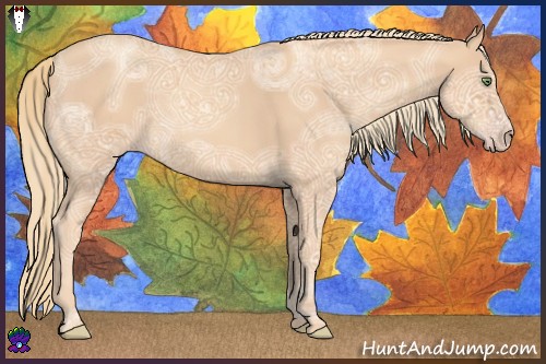 Horse Color:Gold Champagne Ice 